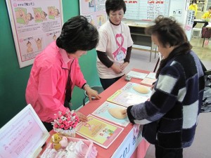 乳房模型